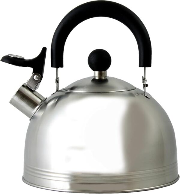 Mr. Coffee Carterton Stainless Steel Whistling Tea Kettle, 1.5-Quart